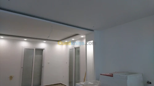 Placo platre pvc demontable 