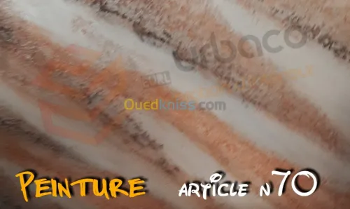 Peintures Décoratives 4
