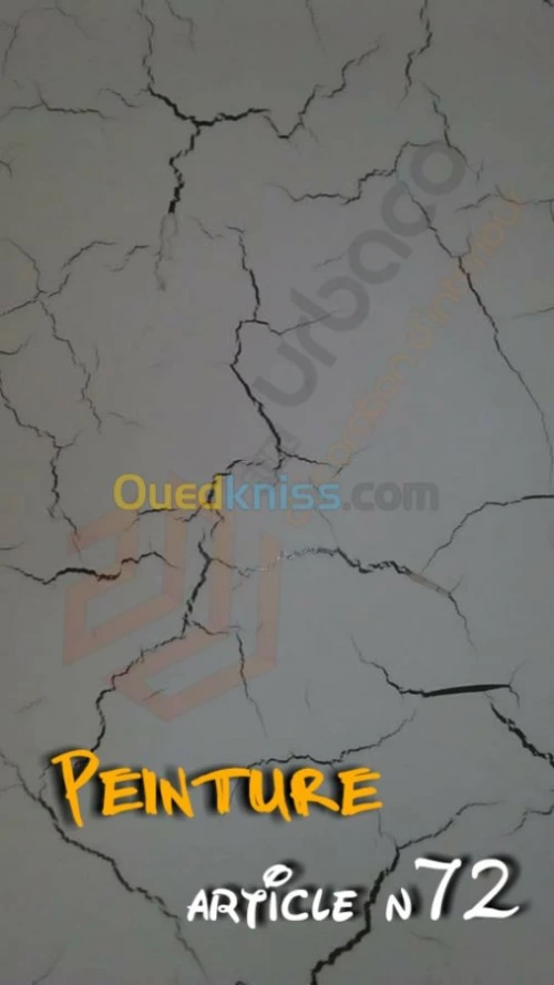 Peintures Décoratives 4