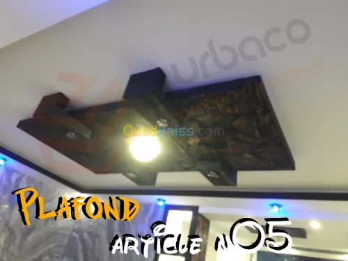 Placo platre BA13- (2) Plafond