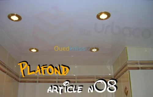 Placo platre BA13- (2) Plafond