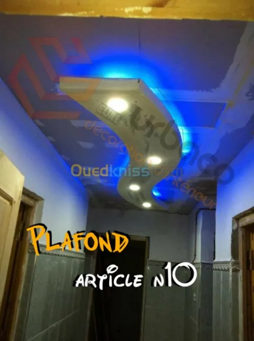 Placo platre BA13- (2) Plafond