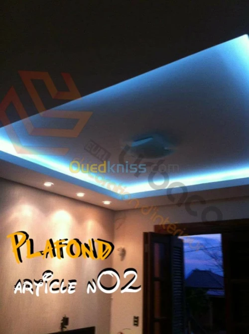 Placo platre BA13- (2) Plafond