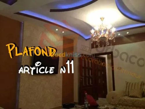 Placo platre BA13- (2) Plafond