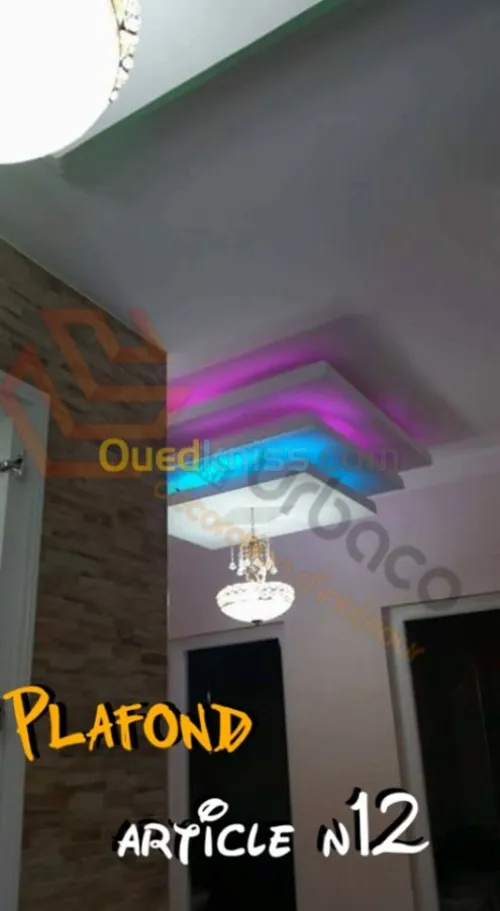 Placo platre BA13- (2) Plafond