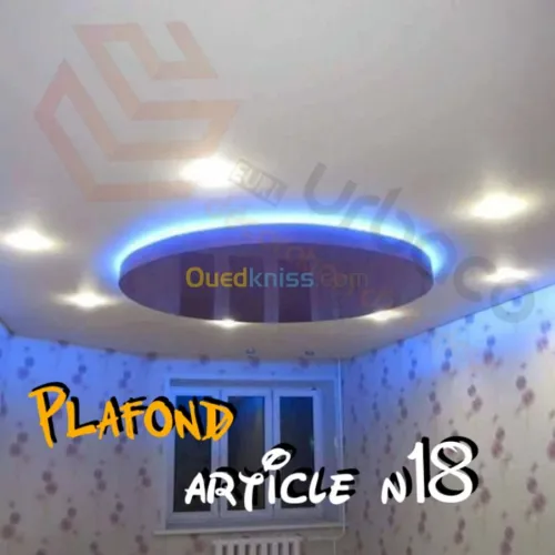 Placo platre BA13- (2) Plafond