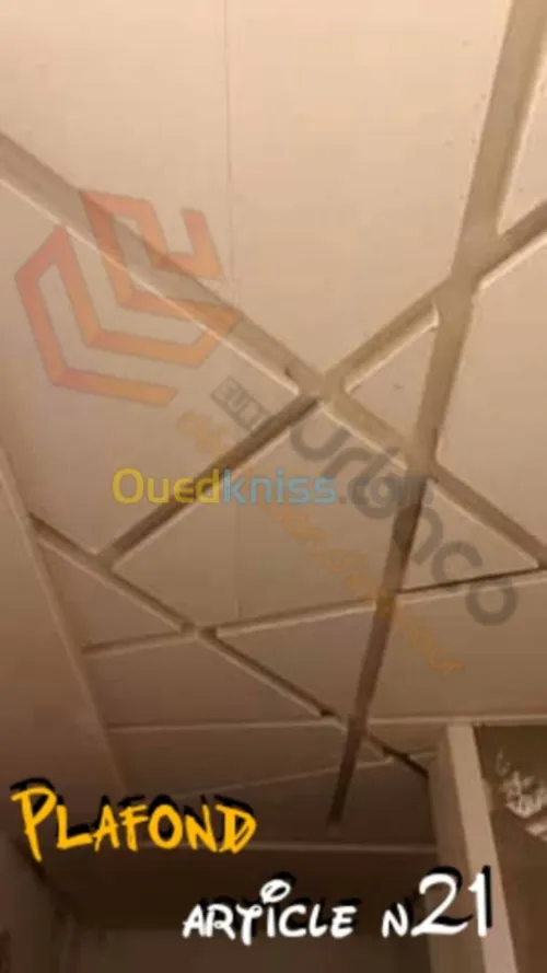 Placo platre BA13- (2) Plafond