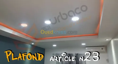 Placo platre BA13- (2) Plafond