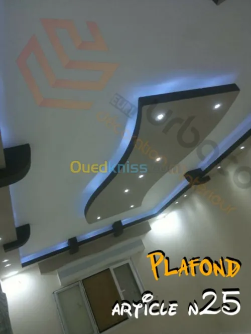 Placo platre BA13- (2) Plafond
