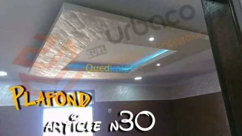 Placo platre BA13- (2) Plafond