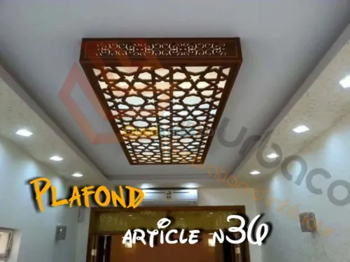 Placo platre BA13- (2) Plafond
