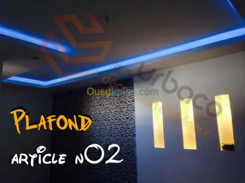Placo platre BA13- (2) Plafond