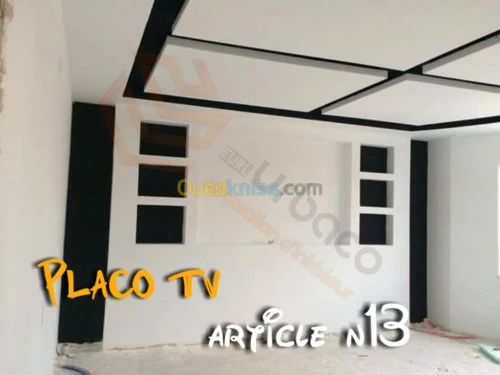 Placo platre BA13- (5) Placo TV