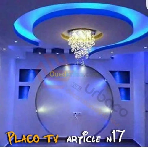 Placo platre BA13- (5) Placo TV