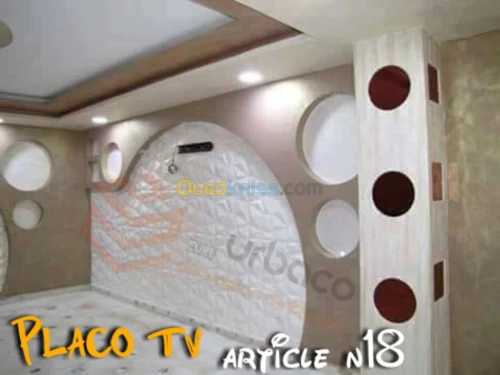 Placo platre BA13- (5) Placo TV
