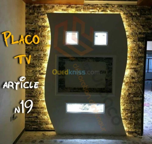 Placo platre BA13- (5) Placo TV