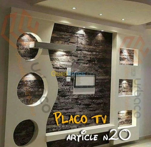 Placo platre BA13- (5) Placo TV