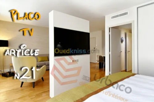 Placo platre BA13- (5) Placo TV