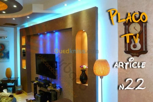 Placo platre BA13- (5) Placo TV