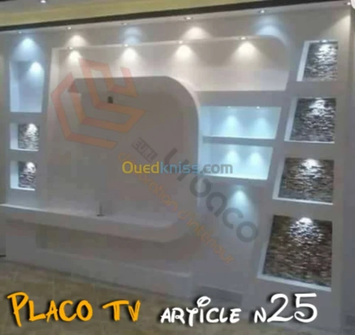 Placo platre BA13- (5) Placo TV