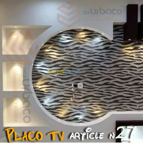 Placo platre BA13- (5) Placo TV