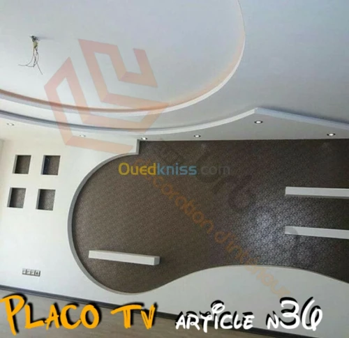 Placo platre BA13- (5) Placo TV