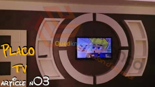 Placo platre BA13- (5) Placo TV