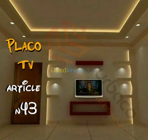 Placo platre BA13- (5) Placo TV