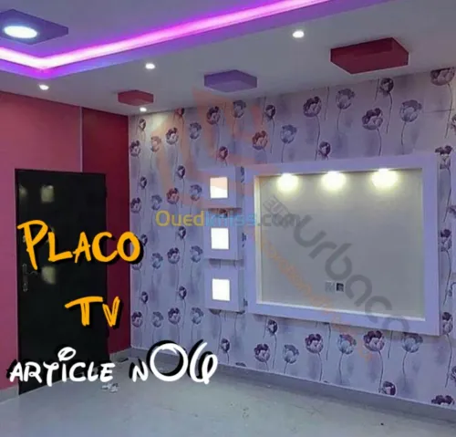 Placo platre BA13- (5) Placo TV
