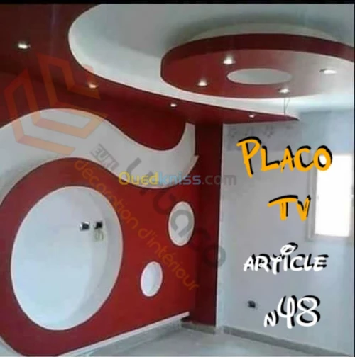 Placo platre BA13- (6) Placo TV