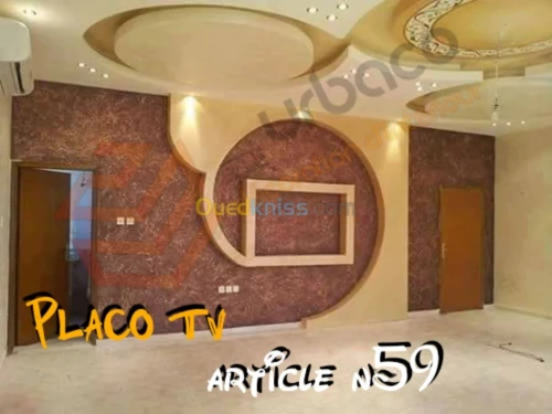 Placo platre BA13- (6) Placo TV