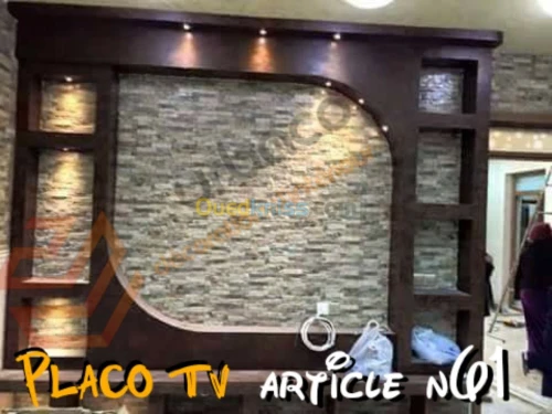 Placo platre BA13- (6) Placo TV