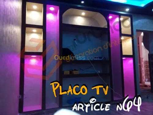Placo platre BA13- (6) Placo TV