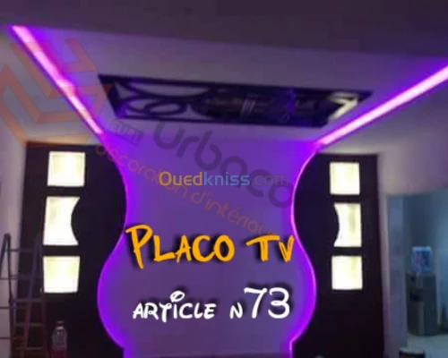 Placo platre BA13- (6) Placo TV