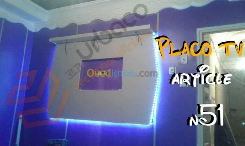 Placo platre BA13- (6) Placo TV