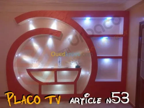 Placo platre BA13- (6) Placo TV