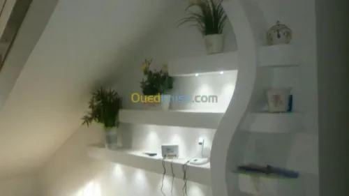 BA13 placo,parquet,PVC