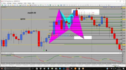 formation en trading  