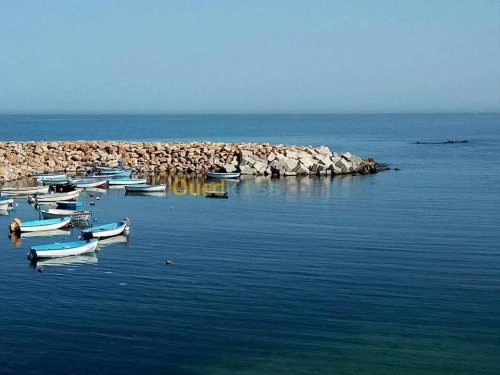 Location vacances Niveau De Villa F2 Alger Ain taya