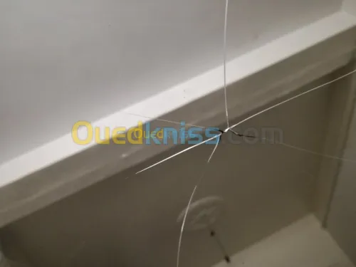 Expert spécialiste fissures et impacts