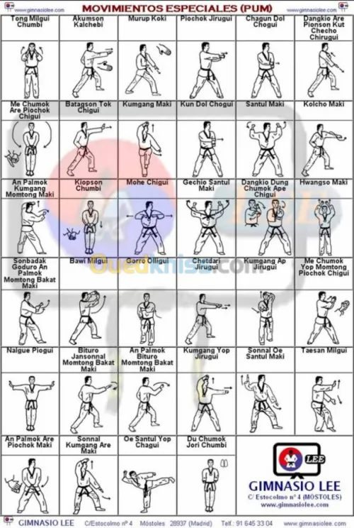 entraineur sportif taekwando