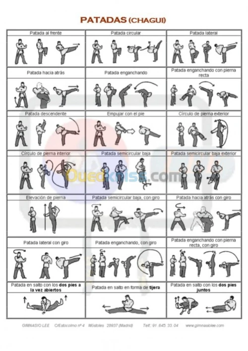 entraineur sportif taekwando