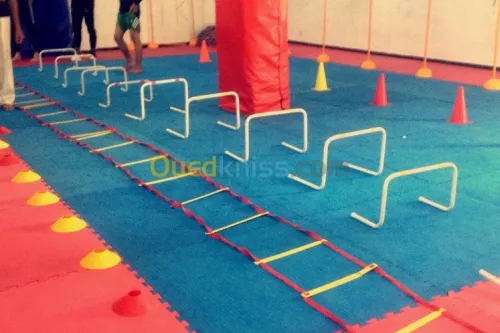 entraineur sportif taekwando