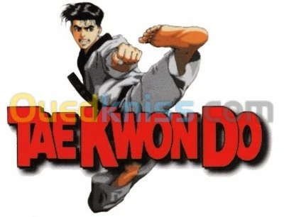 entraineur sportif taekwando