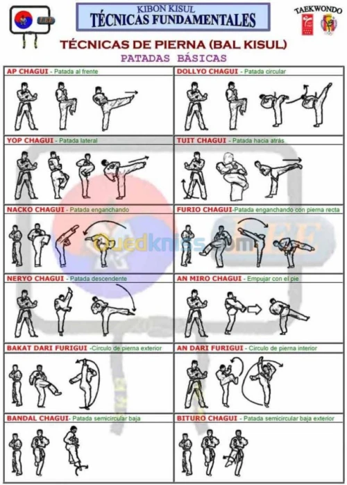 entraineur sportif taekwando