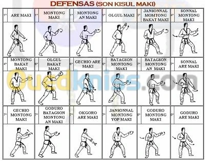 entraineur sportif taekwando