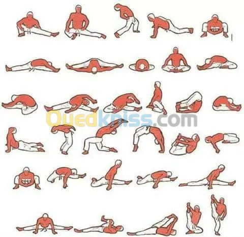 entraineur sportif taekwando