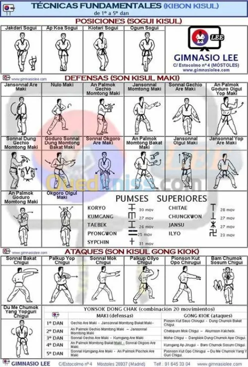 entraineur sportif taekwando