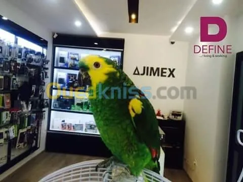 decoration interieure  