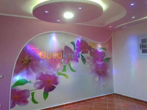 tous Travaux de finition et  Décoraion